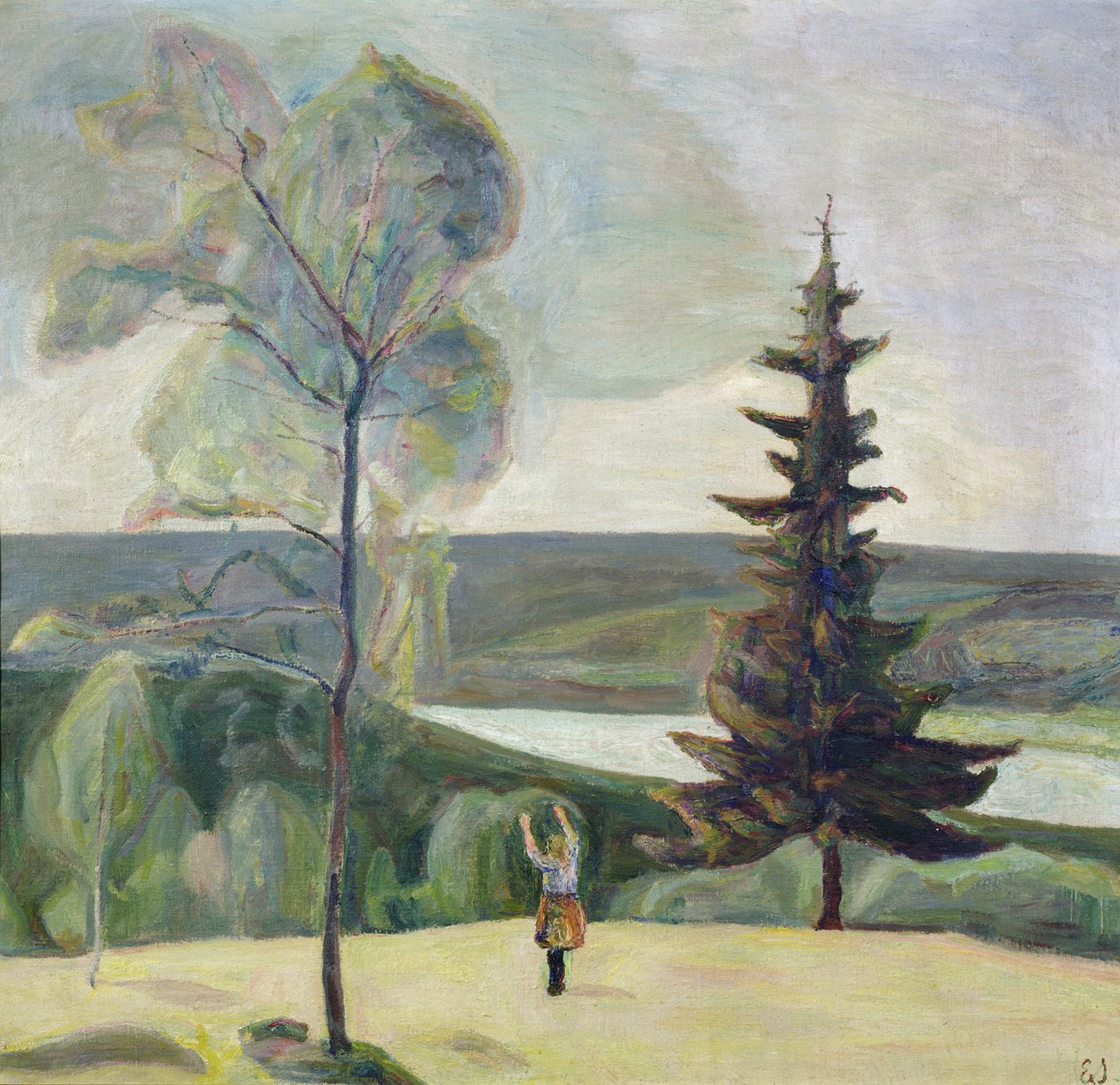 Birch and spruce by Einar Sandberg
