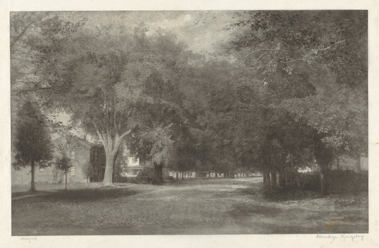 New England Elms by Elbridge Kingsley