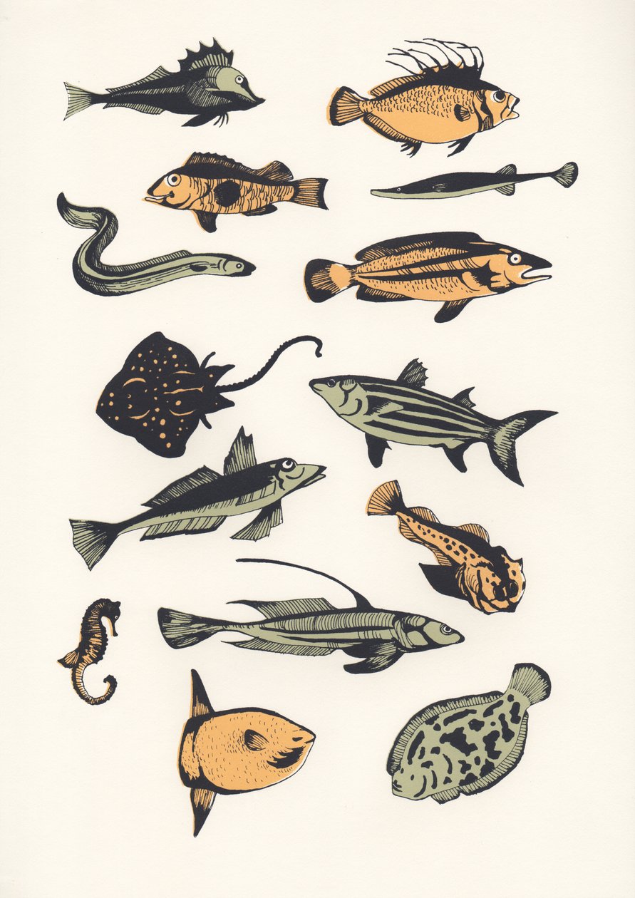 Plain Fish by Eliza Southwood