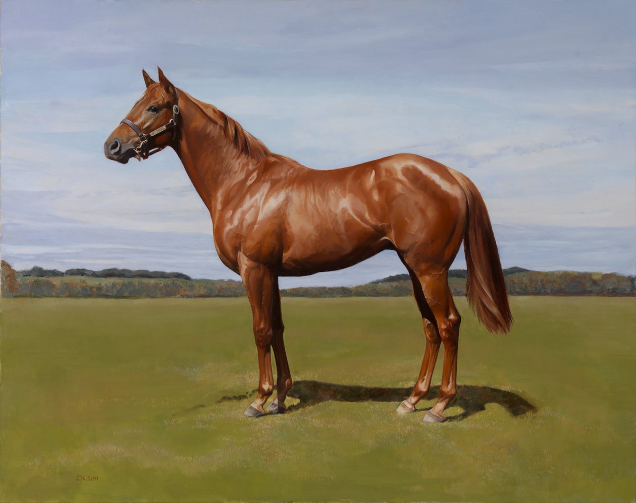 Colt, 2011 by Emma Kennaway