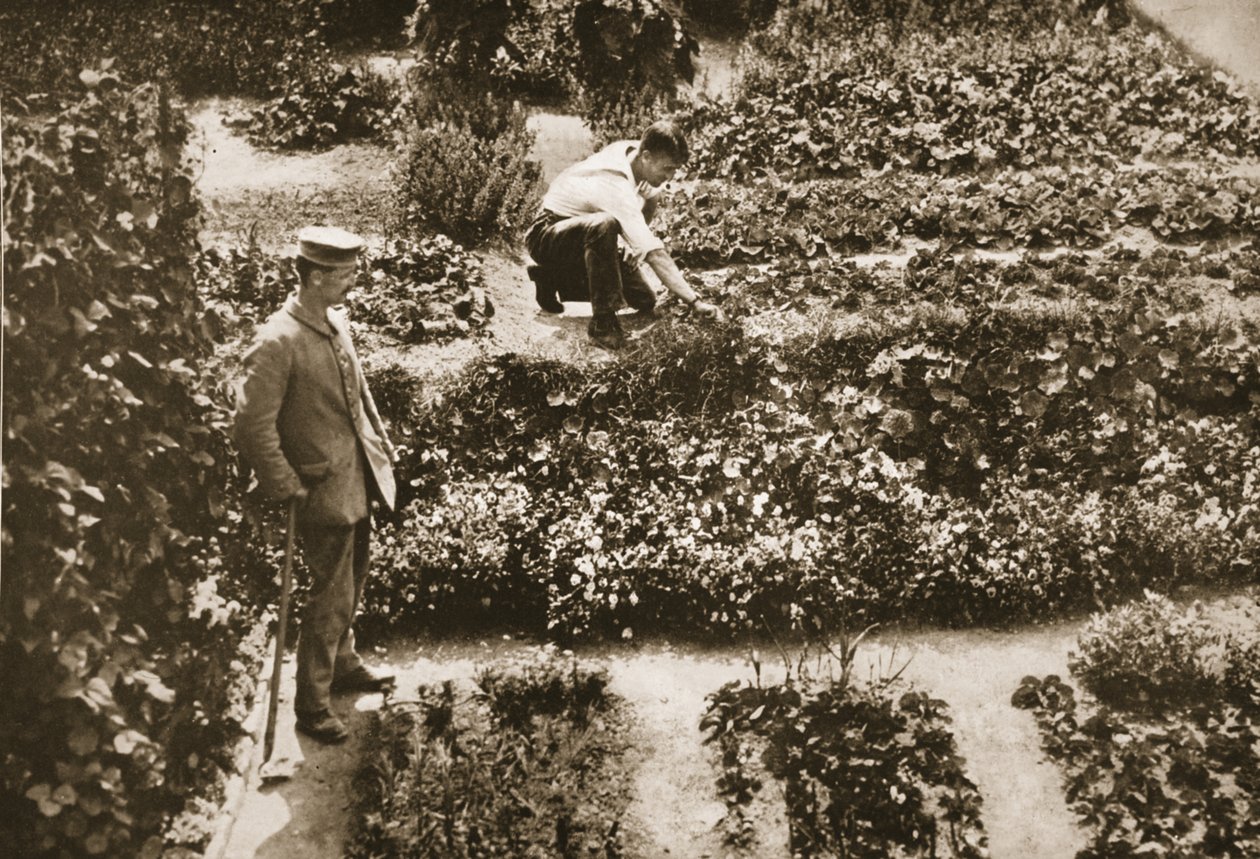 The Prisoners Gardens, Dorchester, illustration from German Prisoners in Great Britain by English Photographer