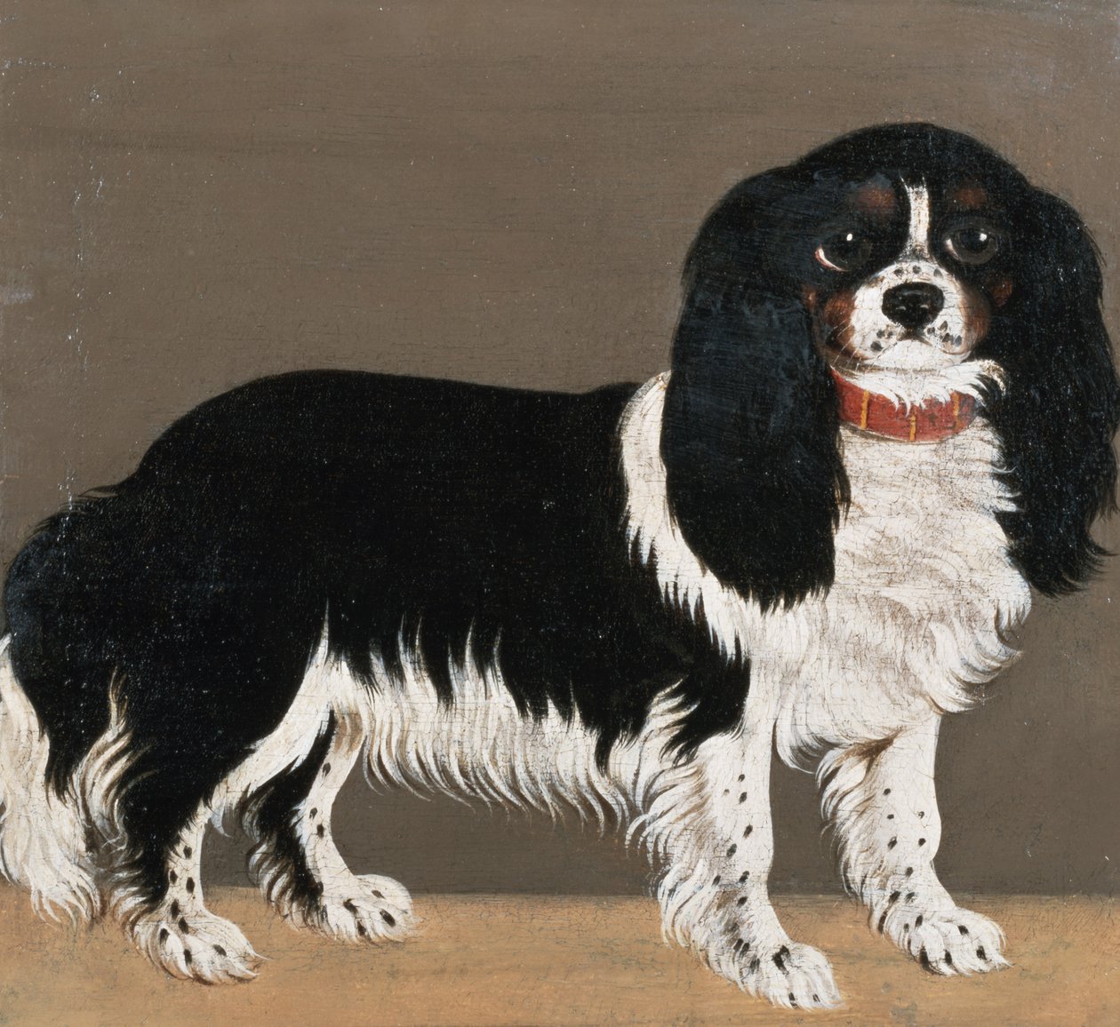 A Cavalier King Charles Spaniel by English School