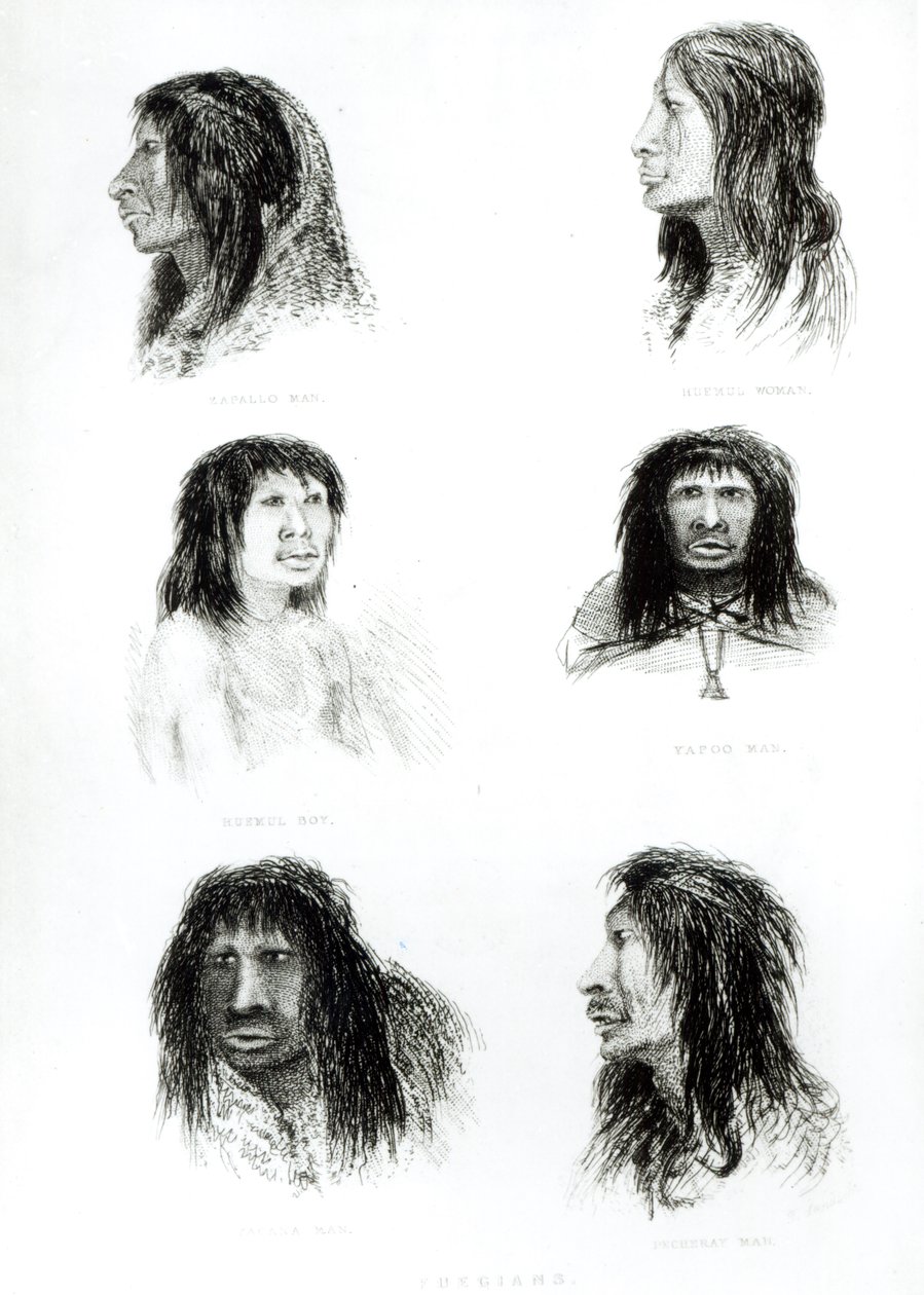 Fuegians, 1838 by English School