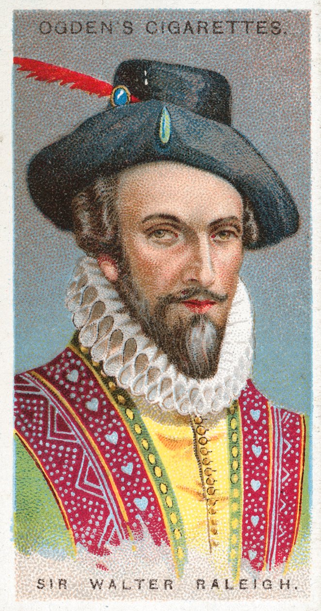 Sir Walter Raleigh by English School