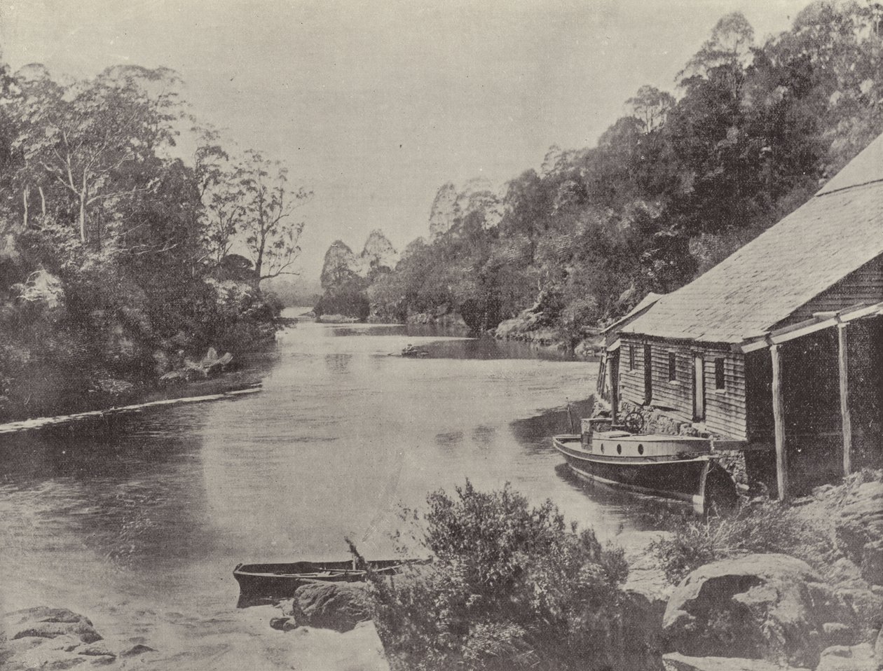 Supply River, Tasmania by English Photographer