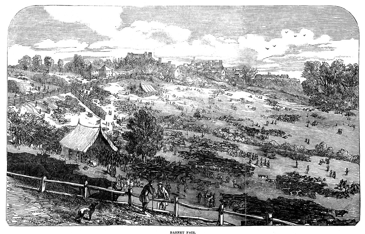 Barnet Fair, 1849 by English School