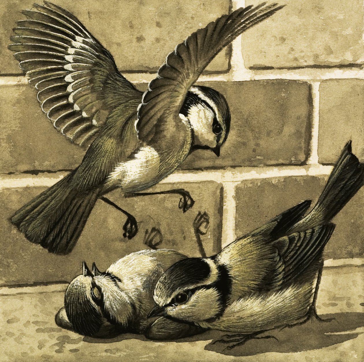 Bluebirds by English School