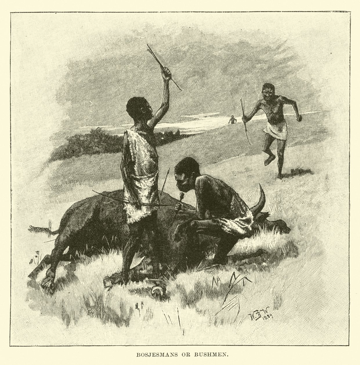 Bosjesmans or Bushmen by English School