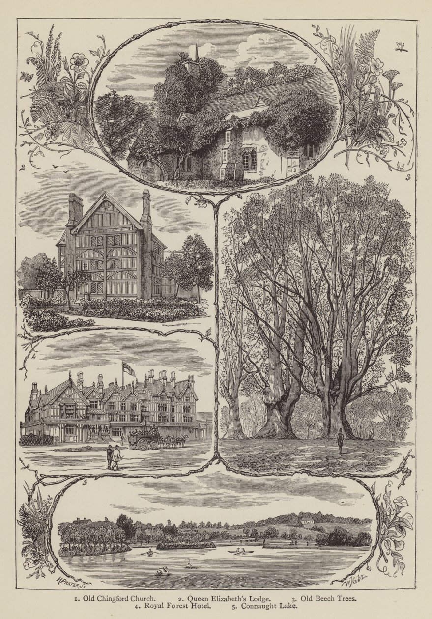 Chingford by English School
