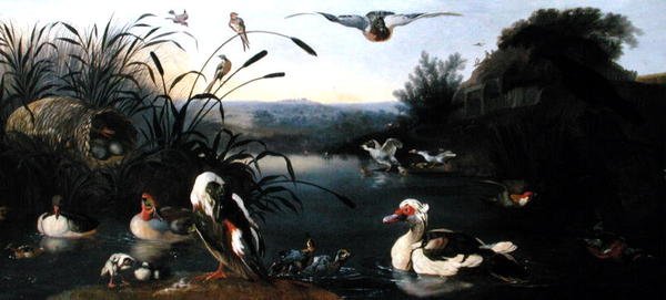 Ducks on a Pond by English School