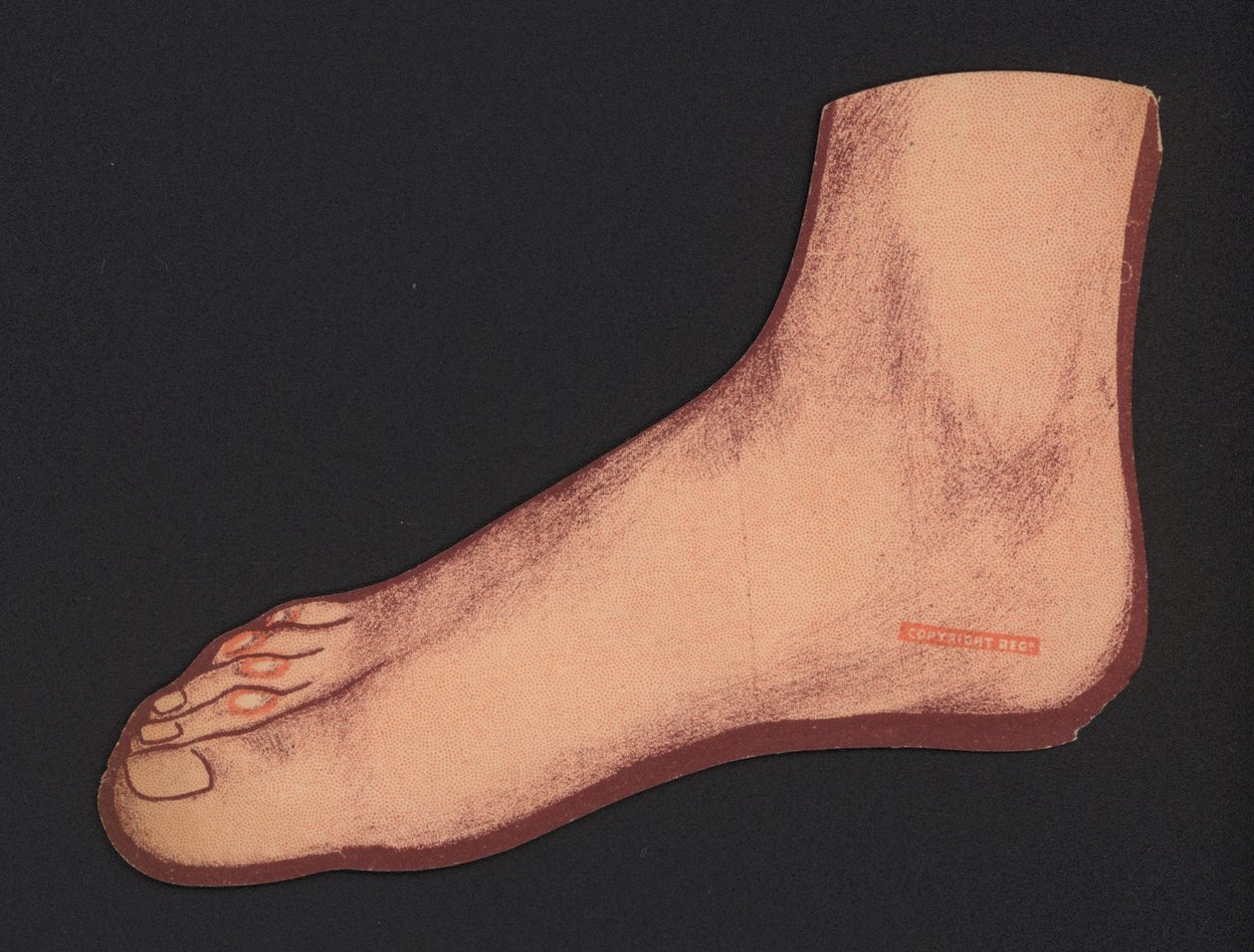 Foot by English School