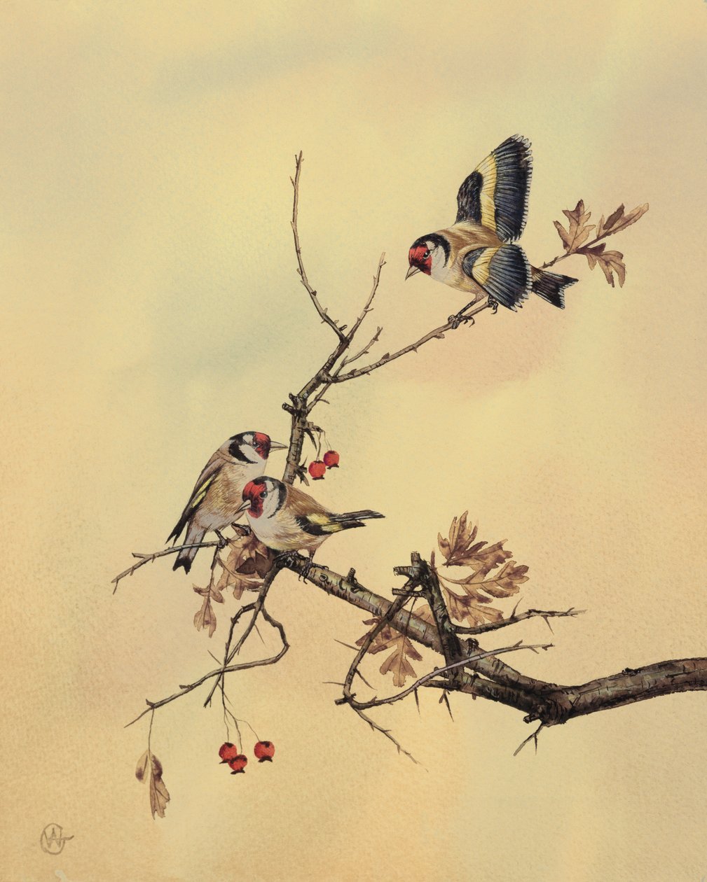 Goldfinches, c.1890 by English School