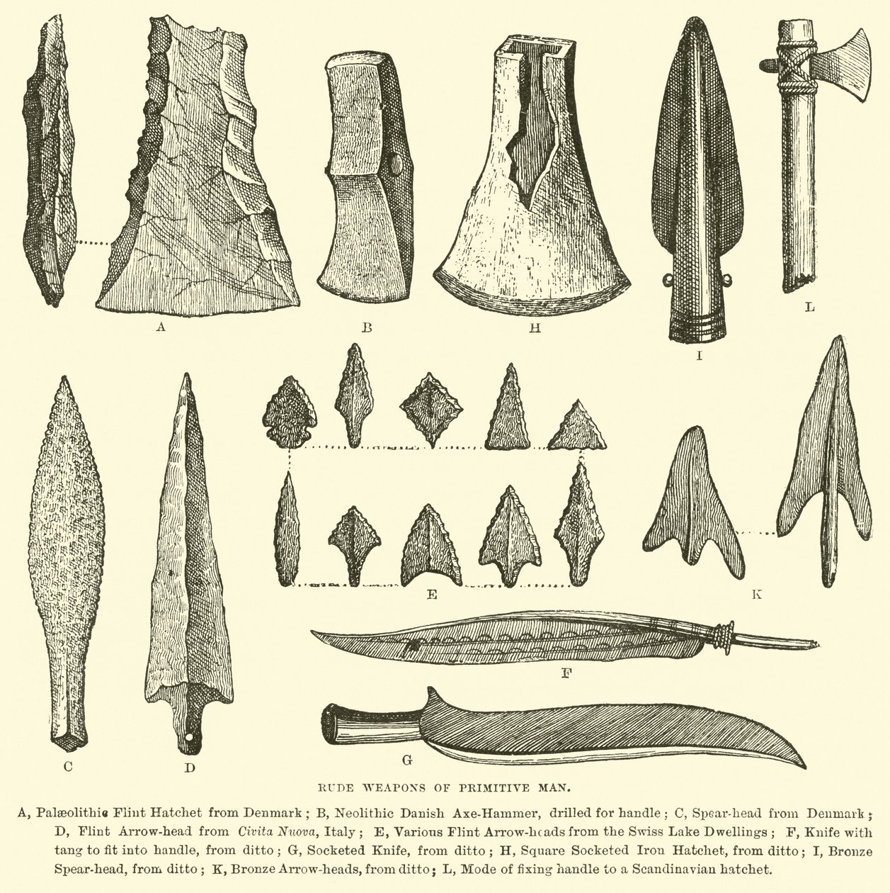 Rude weapons of primitive man by English School