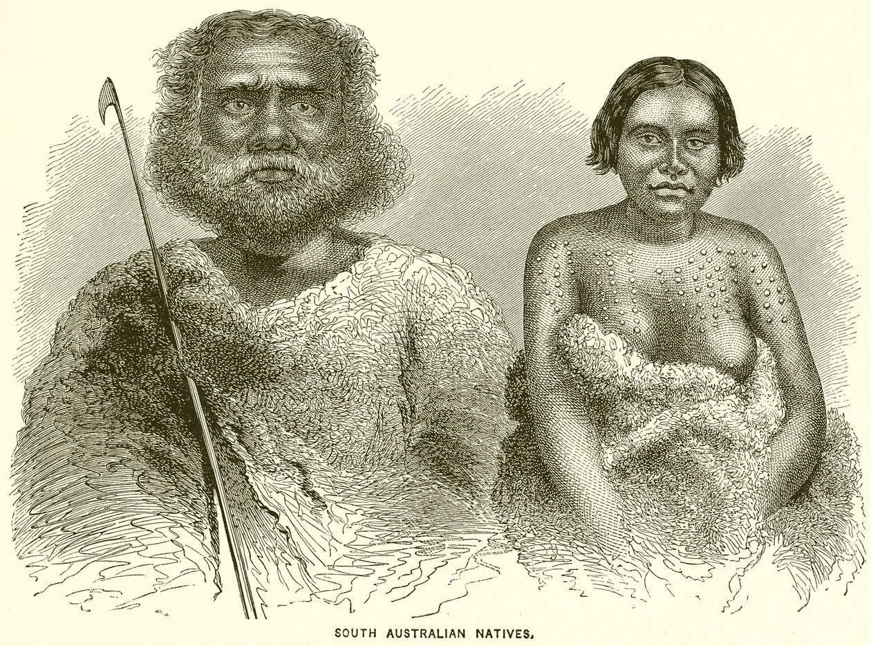 South Australian Natives by English School