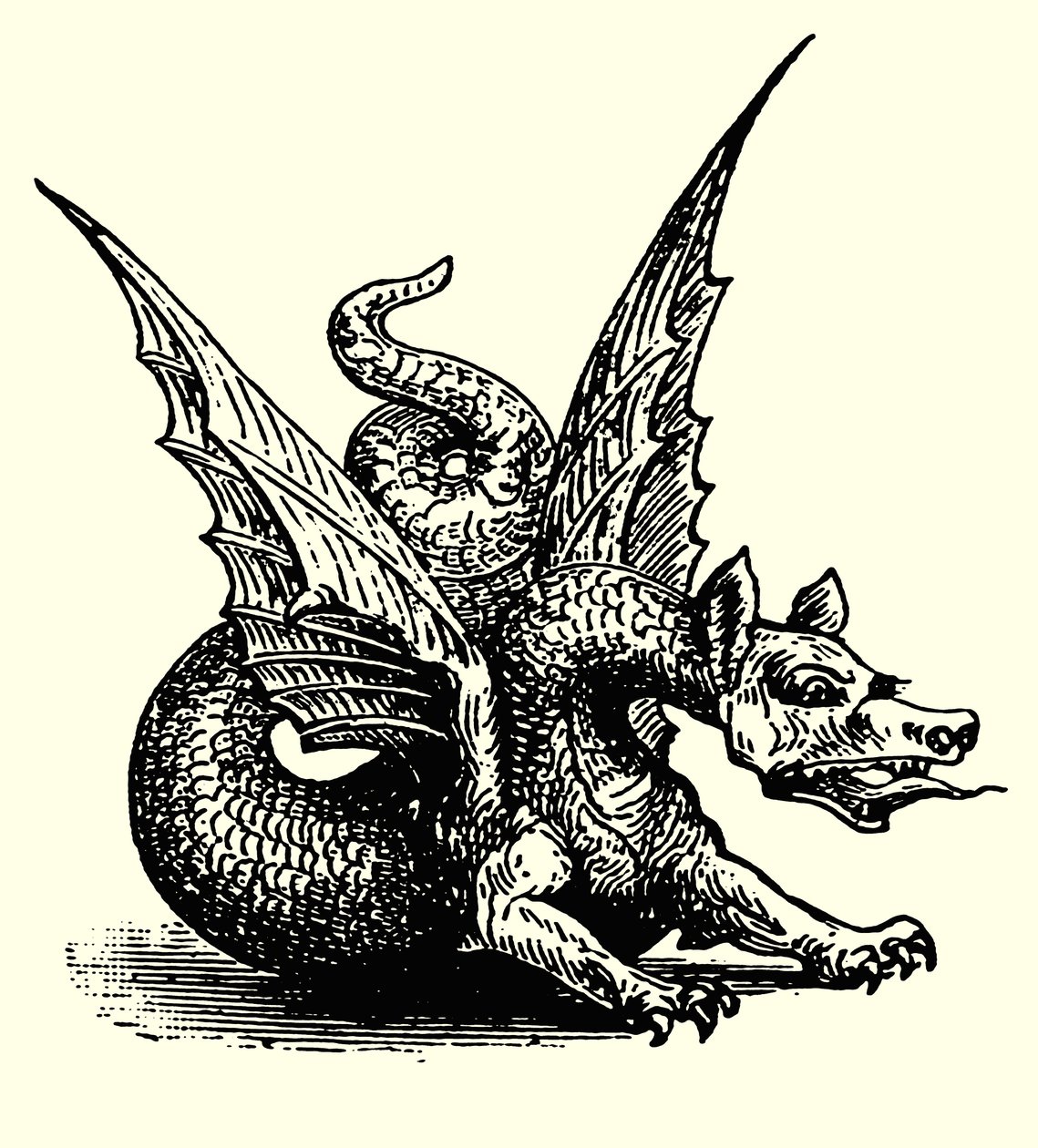 The Dragon of Fable by English School