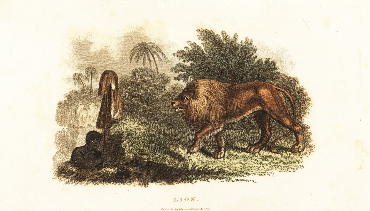 Unknown Image by English School