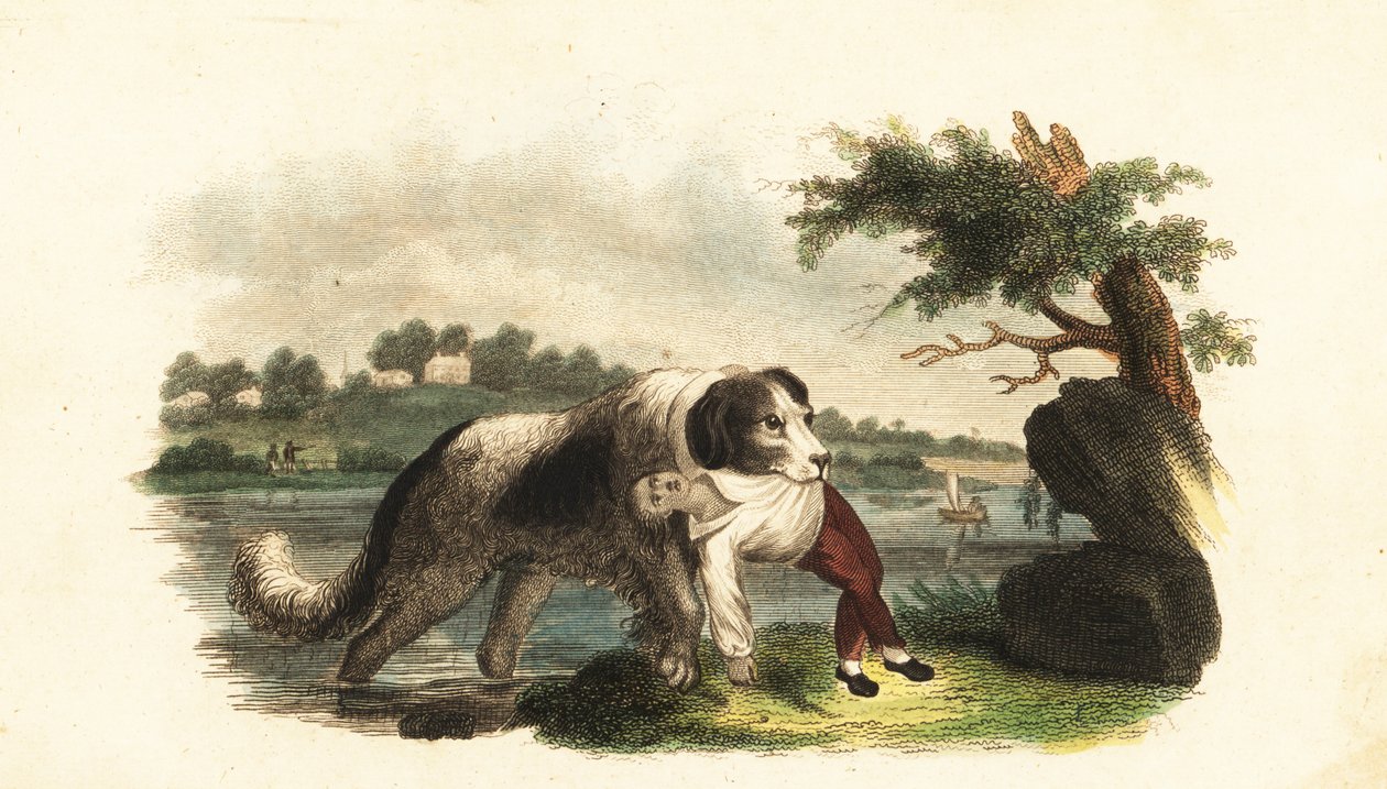Unknown Image by English School