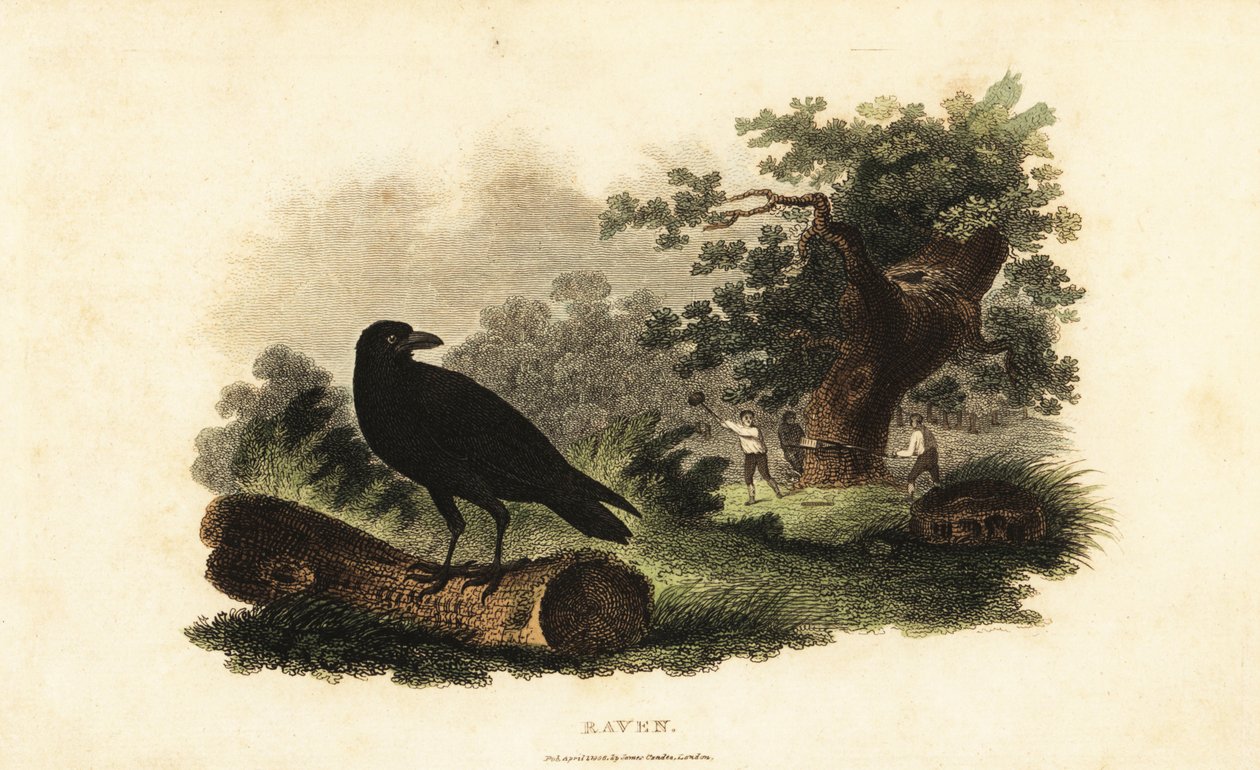 Unknown Image by English School