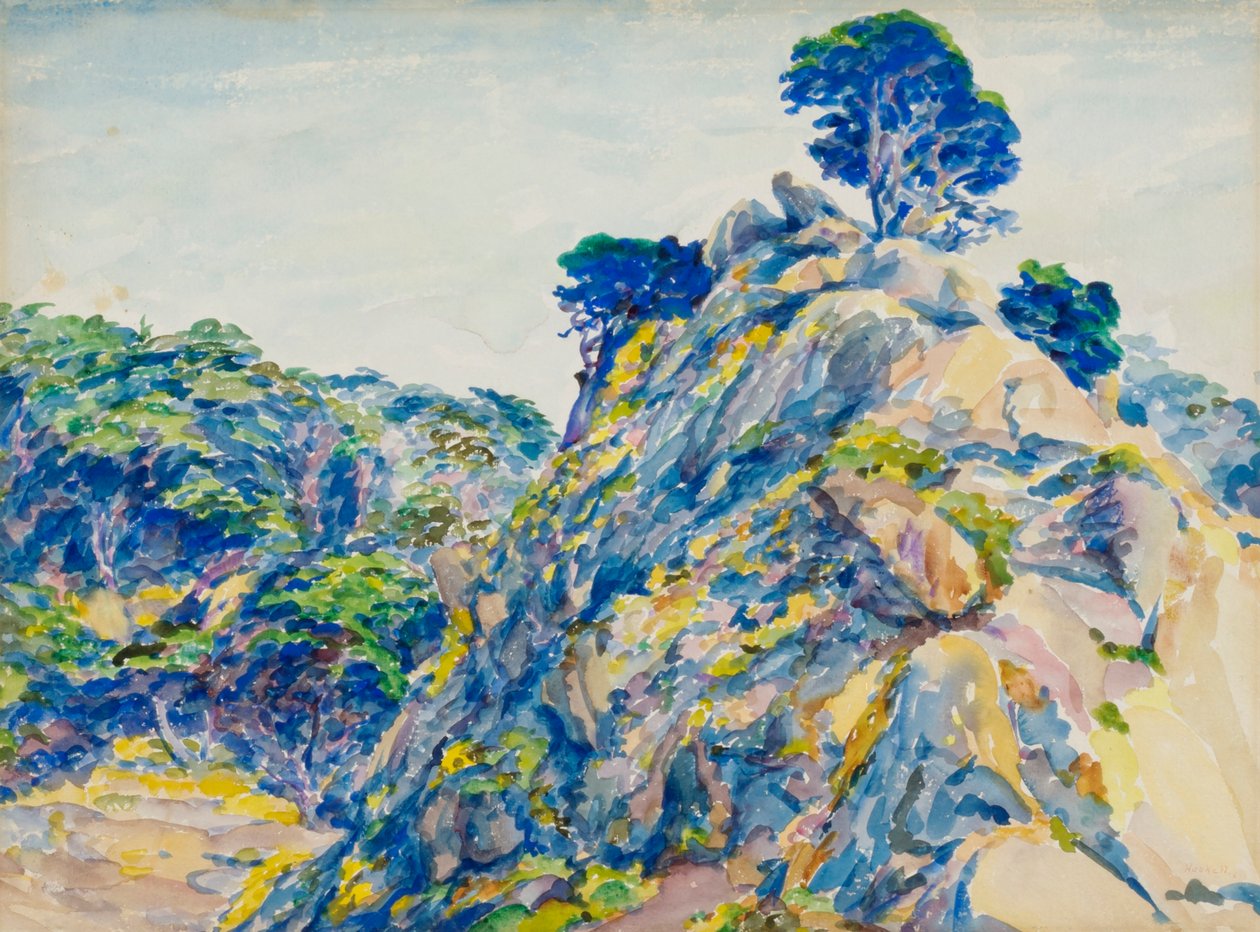 Point Lobos by Ernest Haskell