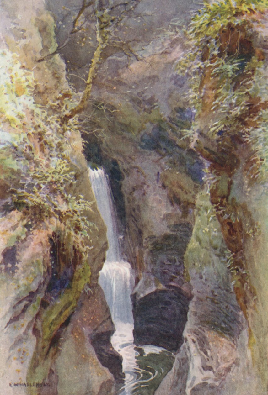 Lydford Gorge by Ernest William Haslehust