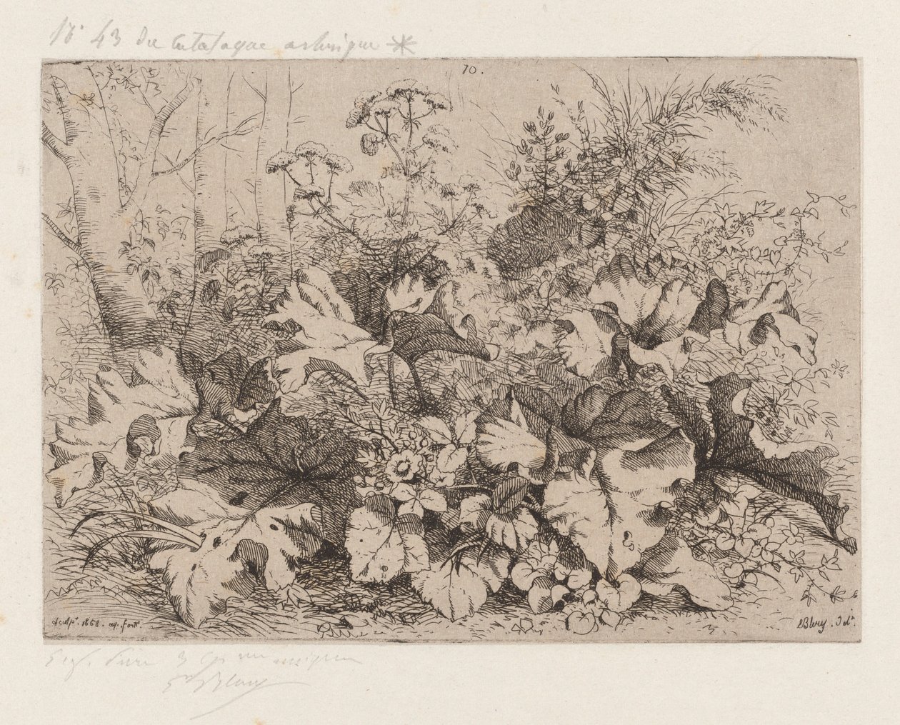 Burdock in Bloom by Eugene Bléry