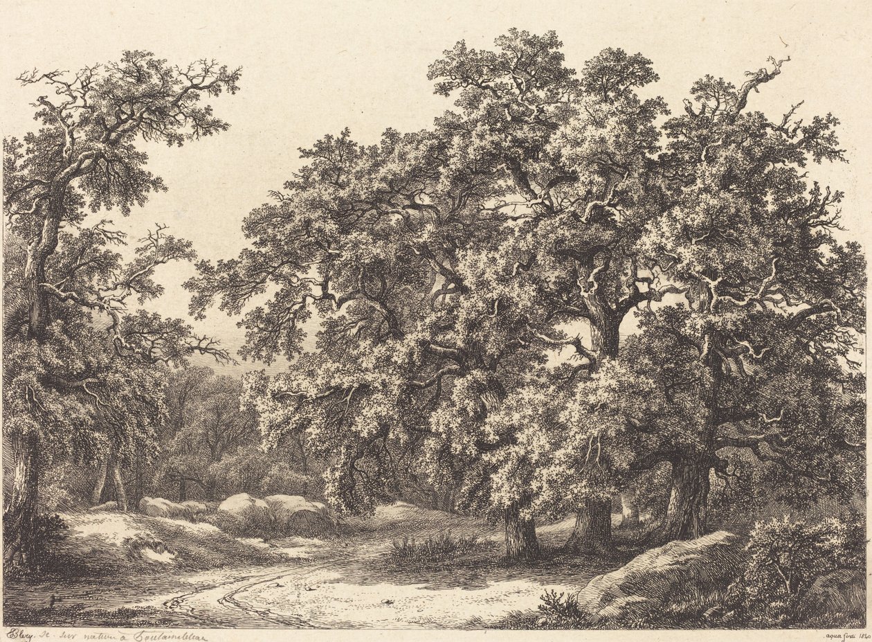 Oaks by Eugene Bléry