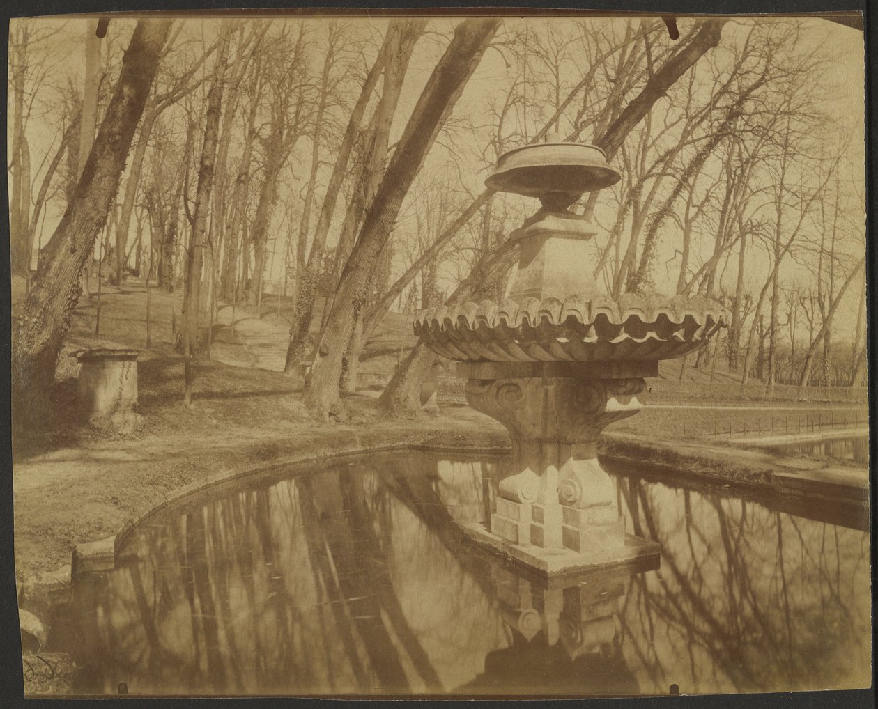 Saint Cloud Park by Eugène Atget