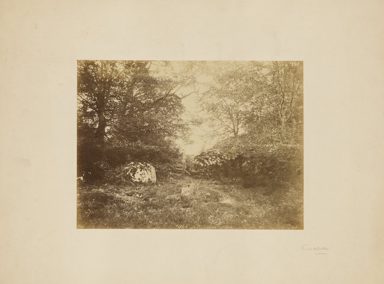 Landscape Study by Eugène Cuvelier