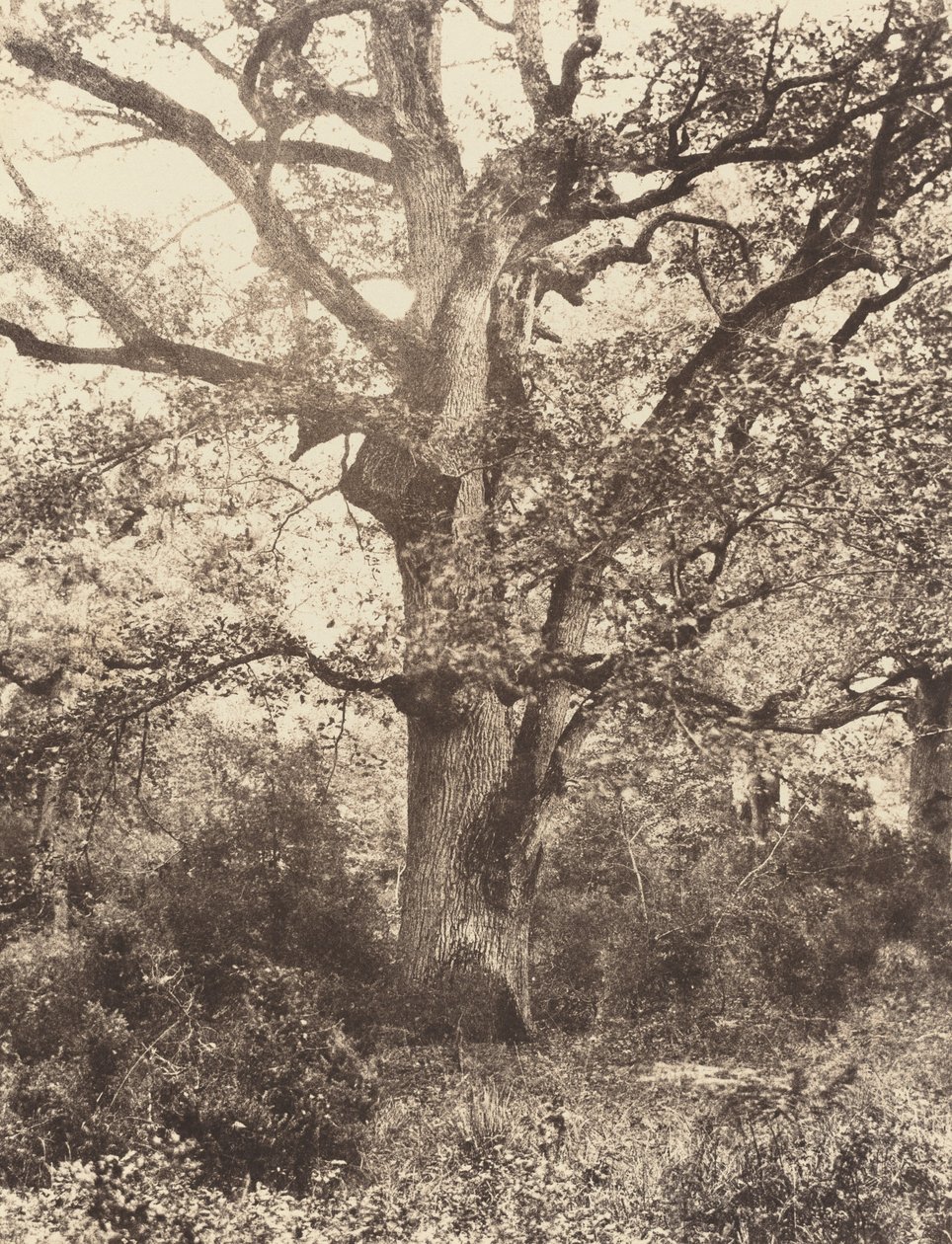 Near the Bodmer by Eugène Cuvelier