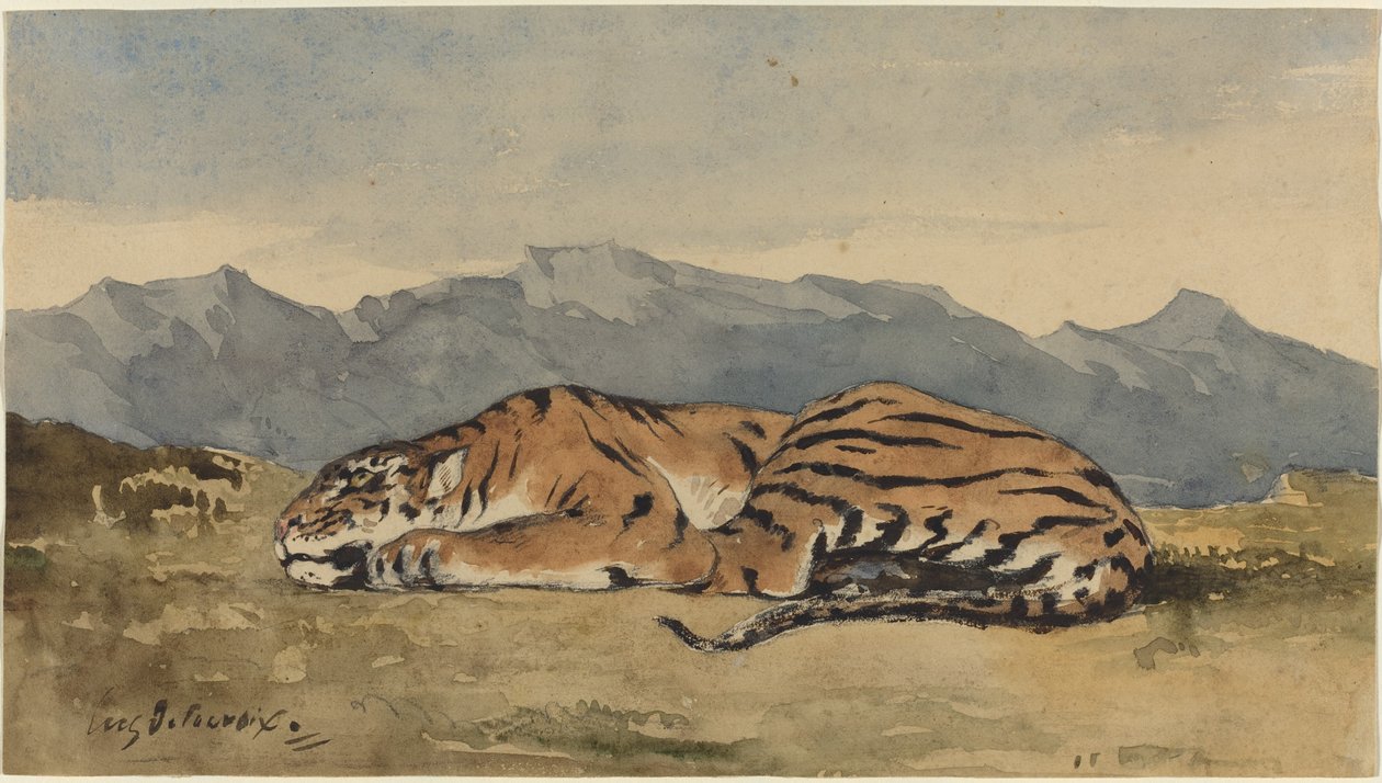 Tiger, c. 1830 by Eugène Delacroix