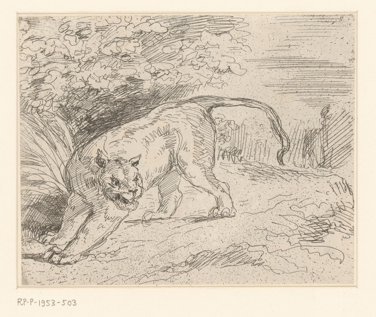 Tiger by Eugène Delacroix