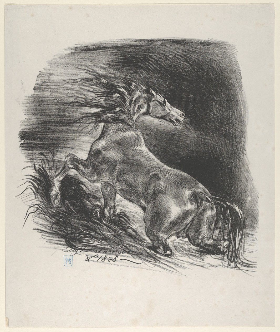 Wild Horse by Eugène Delacroix