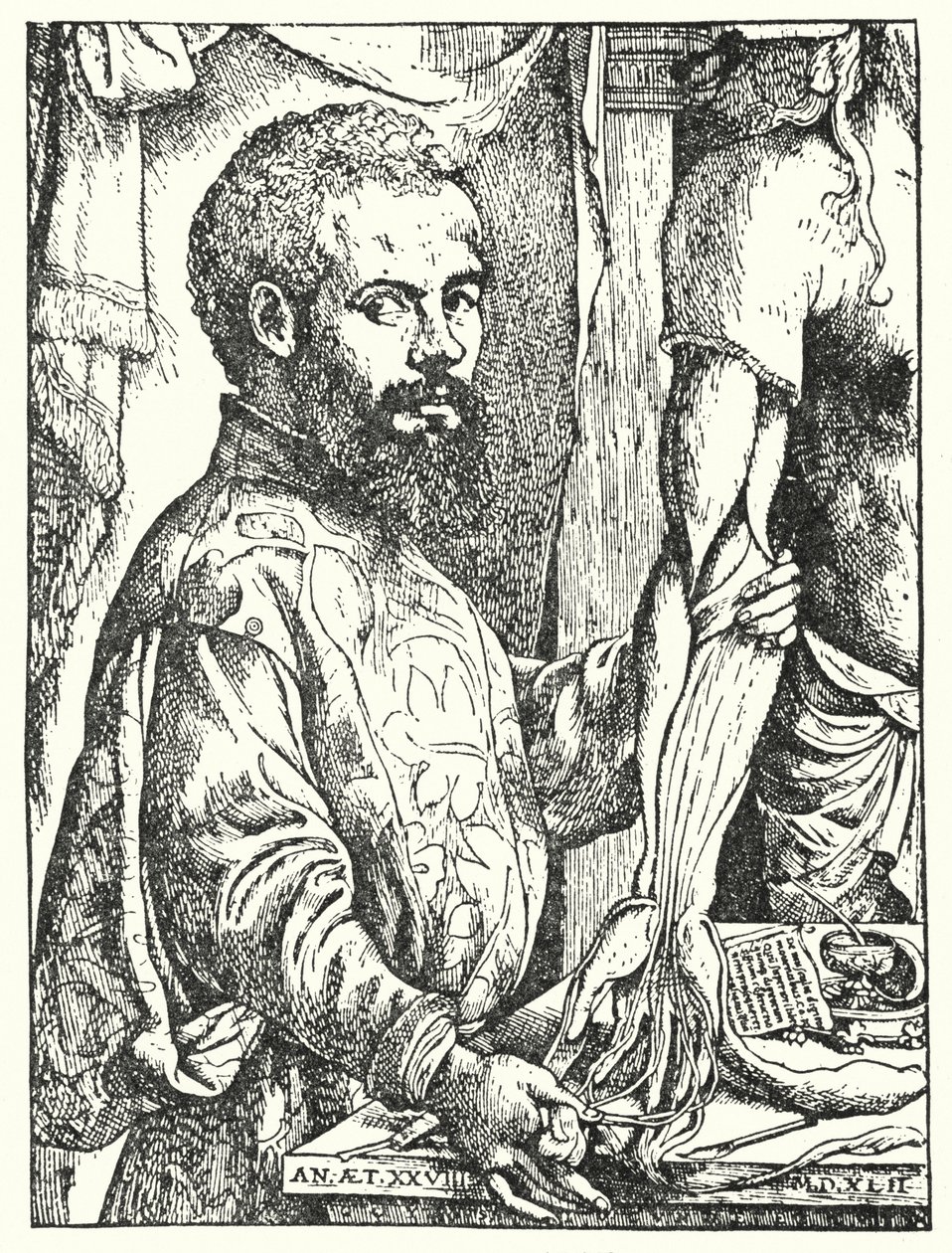 Andreas Vesalius by European School