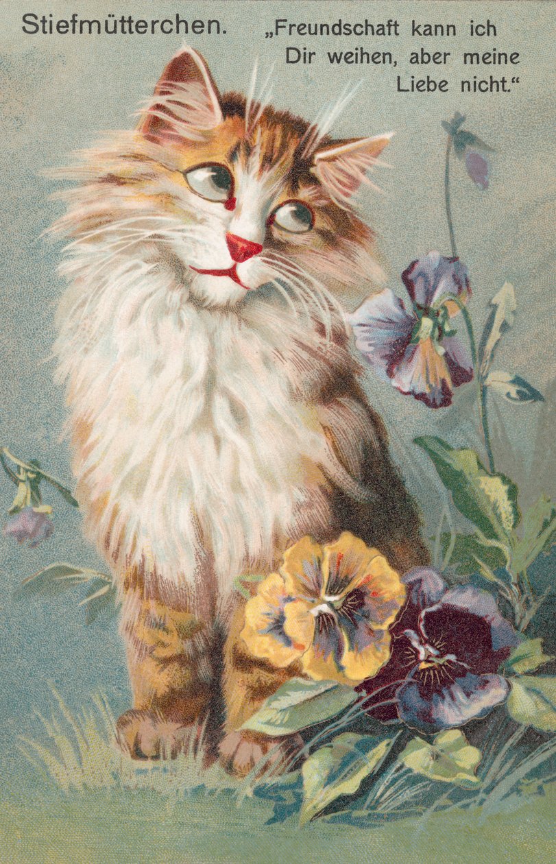 Cat postcard by European School