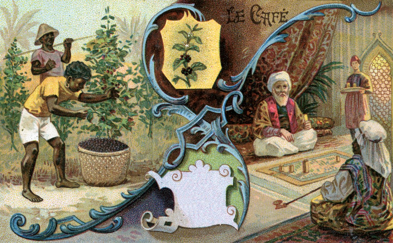 Coffee, 1899 by European School