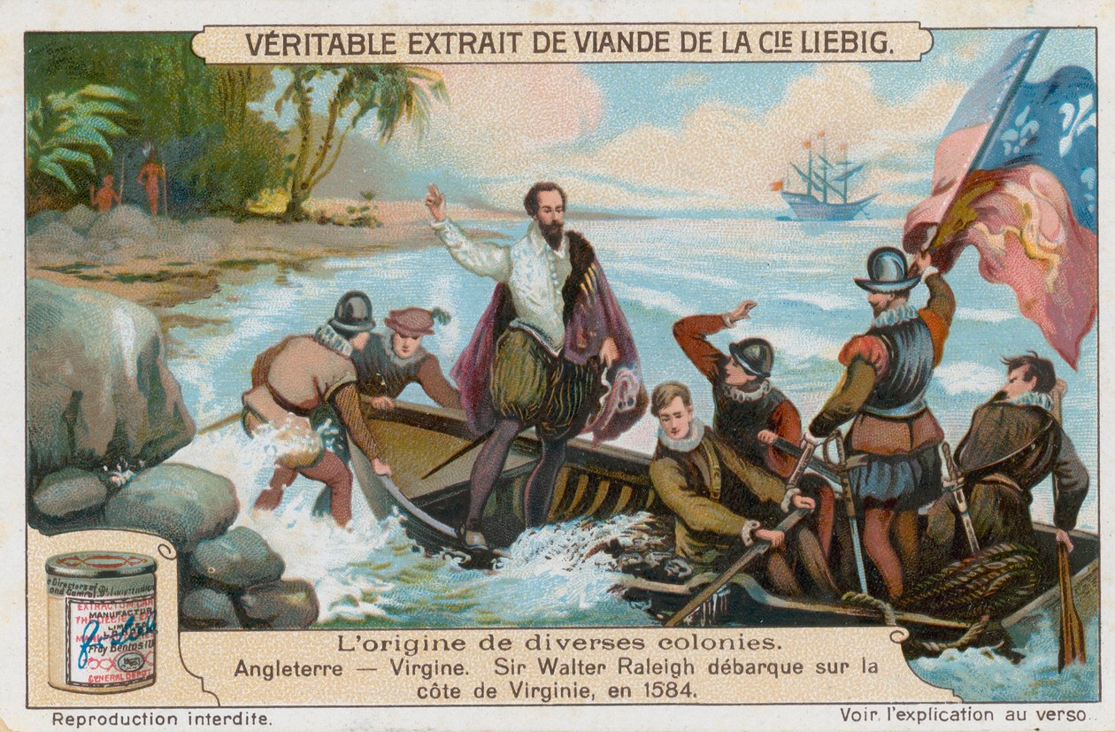 Virginia by European School