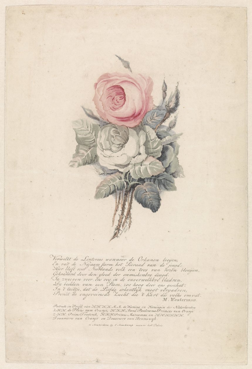 Roses by Evert Maaskamp