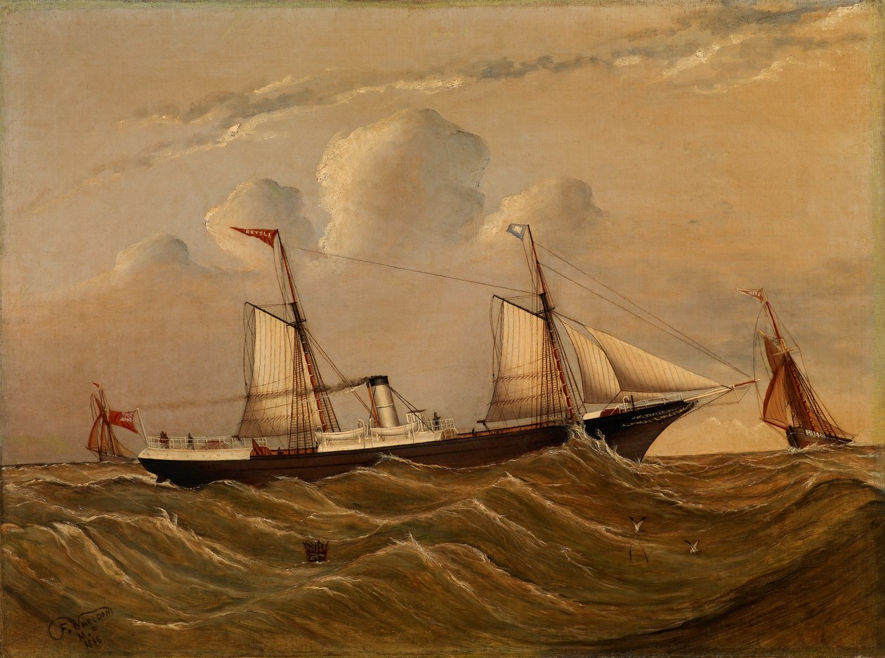 Steamer Alster by F.M.P. Wheldon