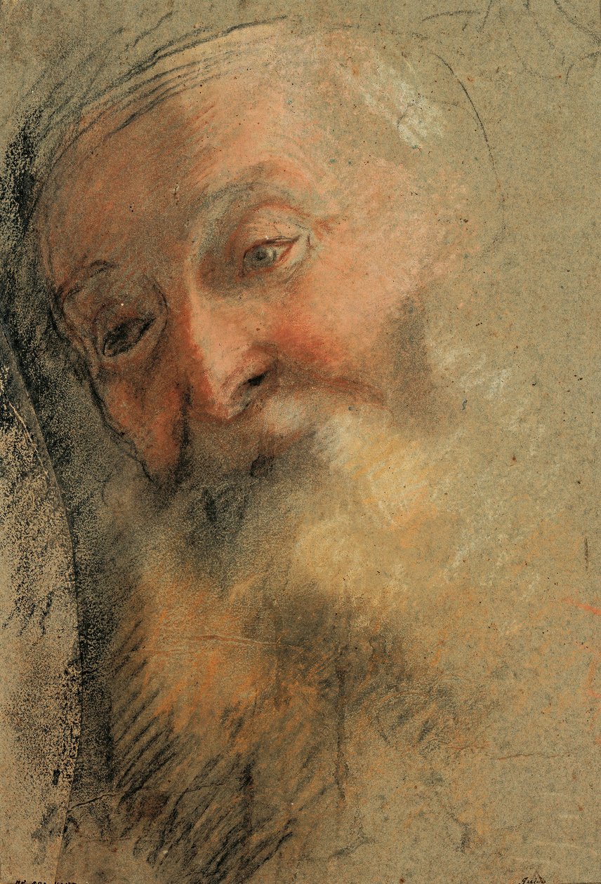 Head of an Old Bearded Man by Federico Barocci