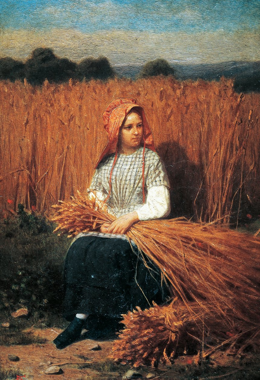 Gleaner by Felice Barucco