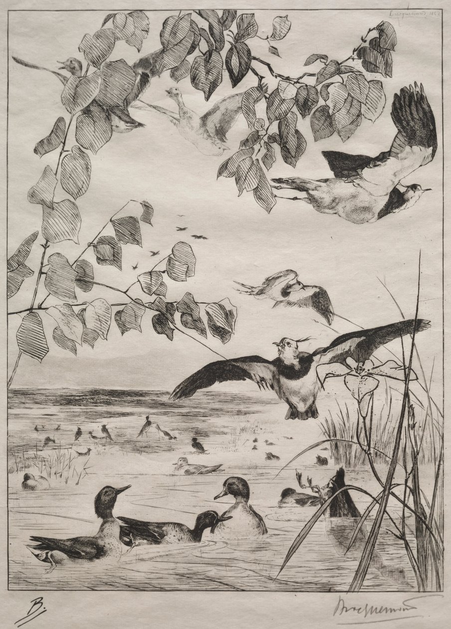 Lapwings and Teals by Felix Bracquemond