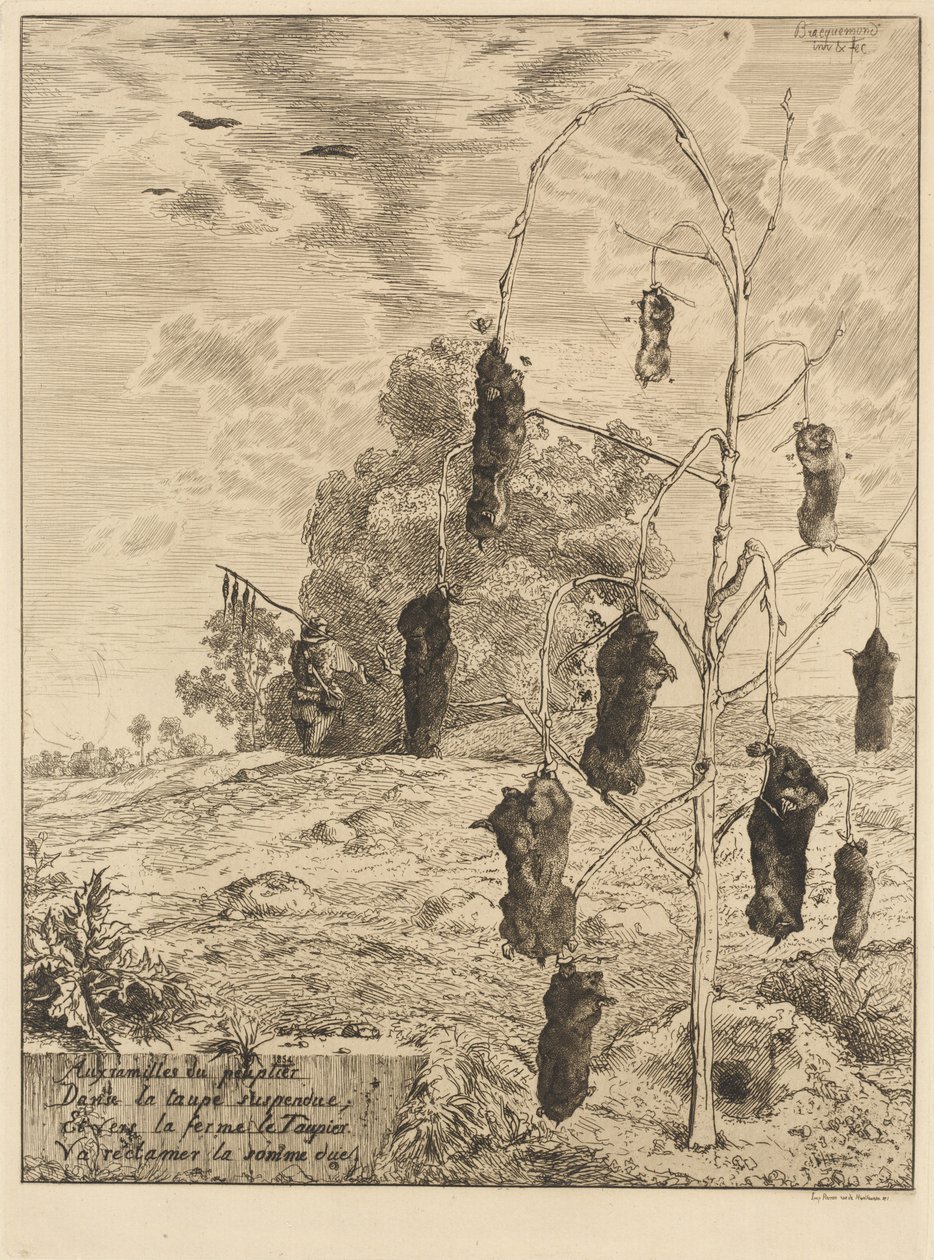 The Moles by Felix Bracquemond