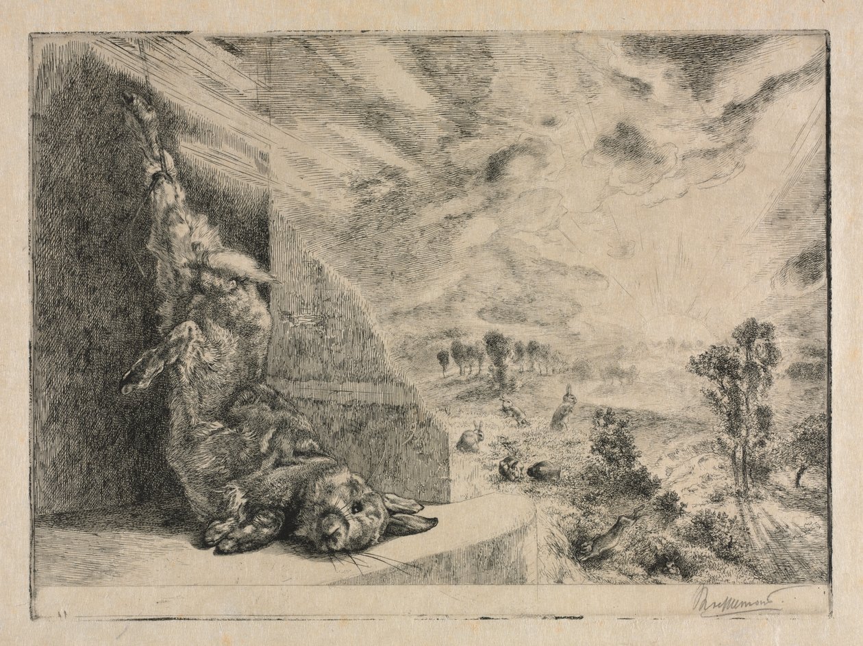 The Wild Rabbit by Felix Bracquemond