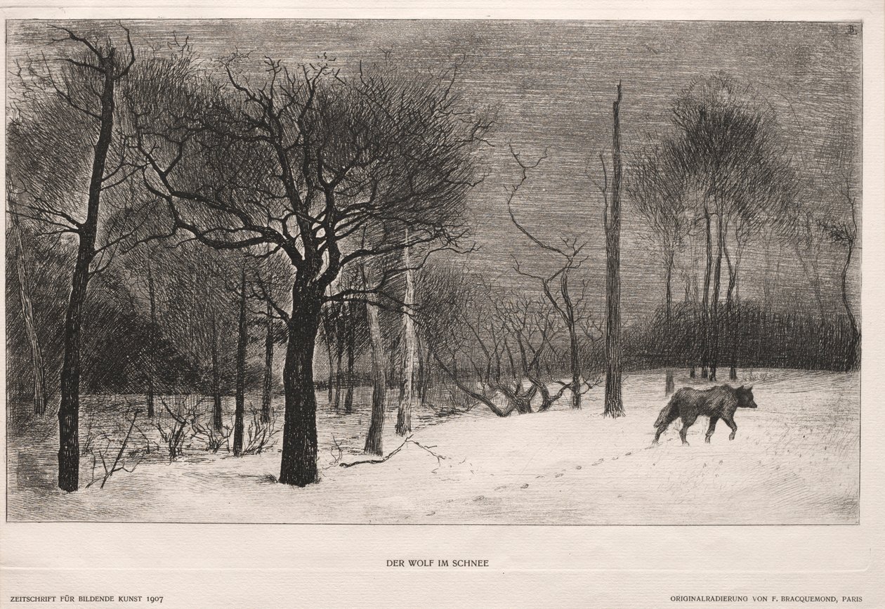 Winter by Felix Bracquemond