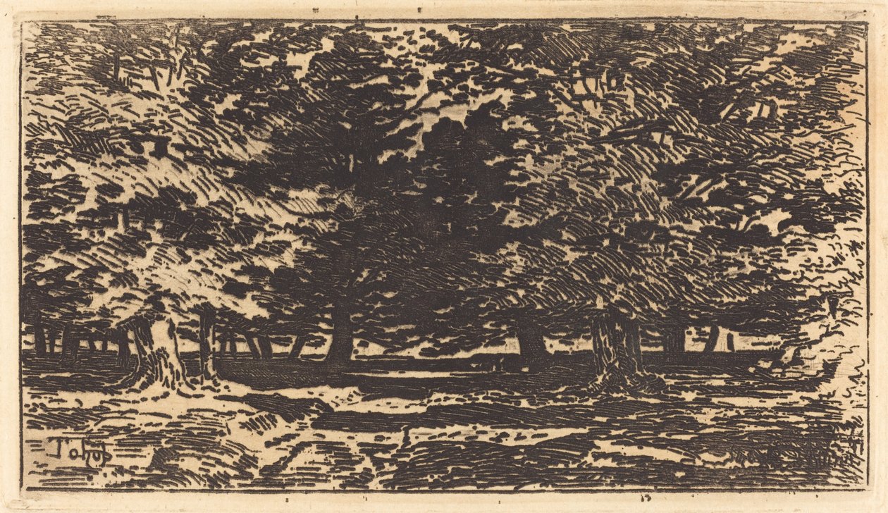 Forest by Felix Hilaire Buhot