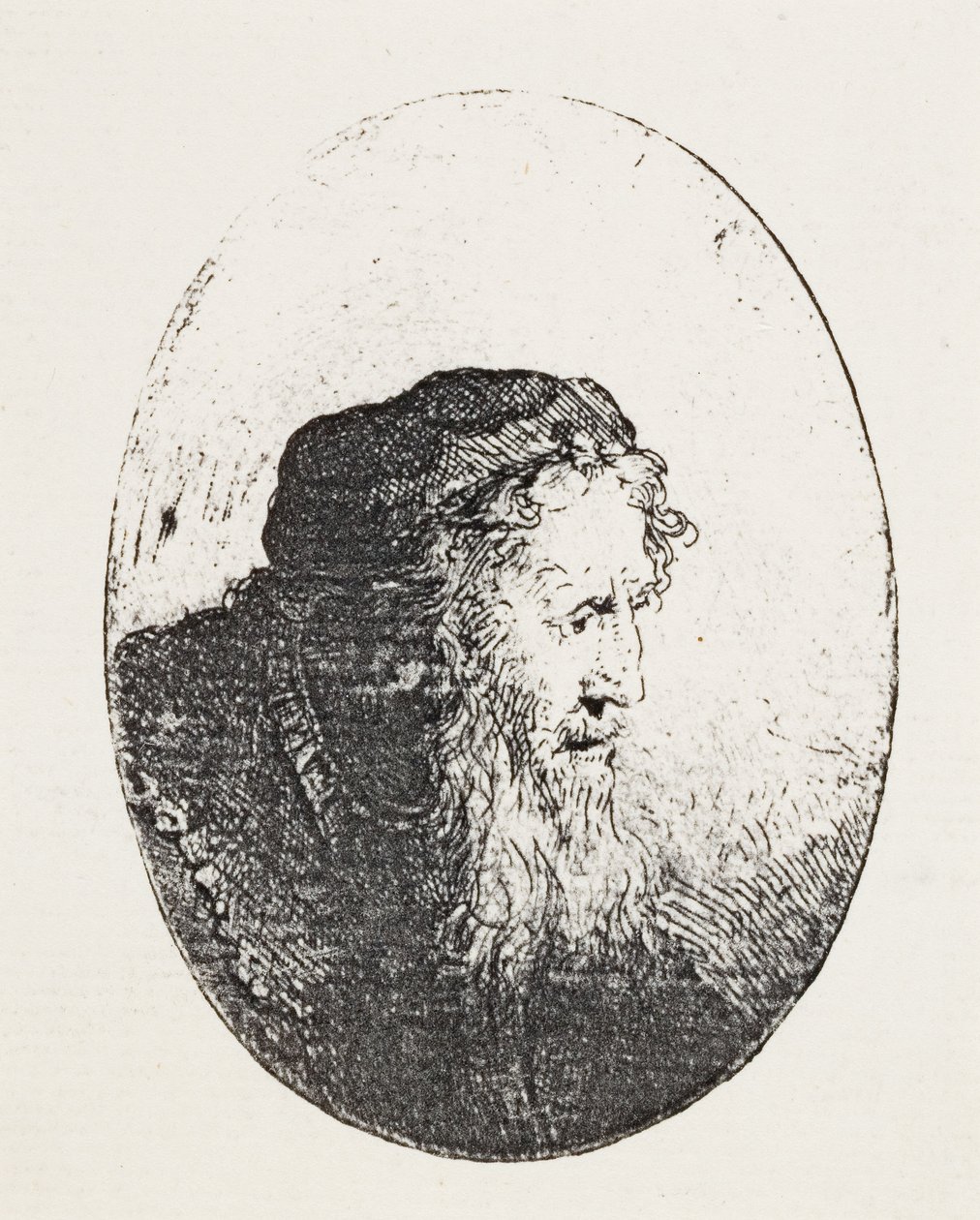 Bearded Old Man by Ferdinand Bol