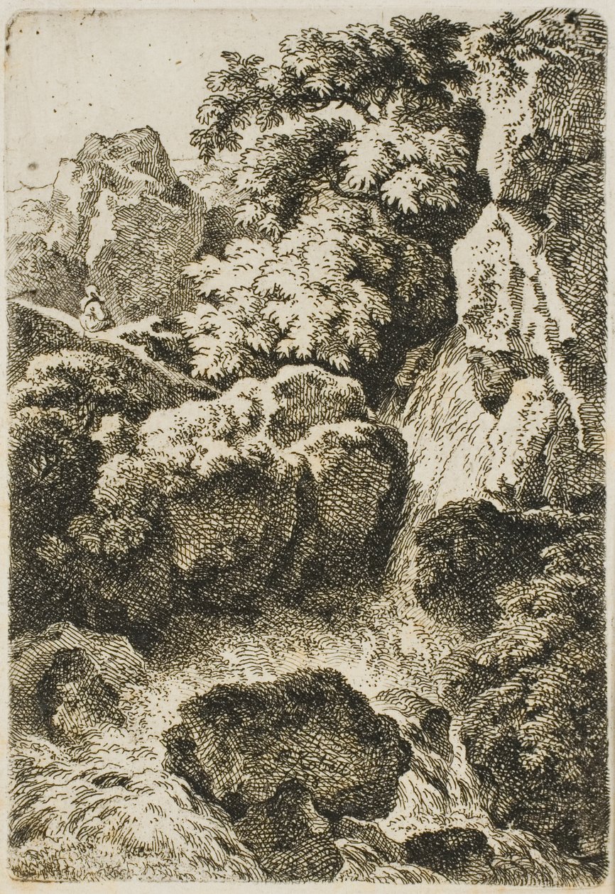 Waterfall by Ferdinand Kobell