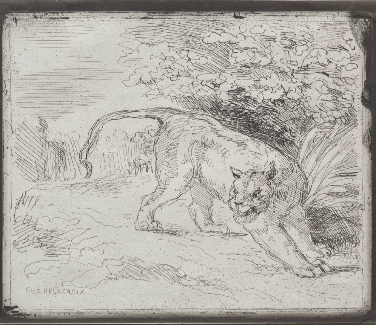 A Trapped Tiger by Ferdinand Victor Eugene Delacroix