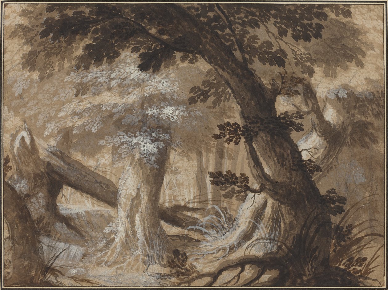 Forest Interior by Flemish 17th Century