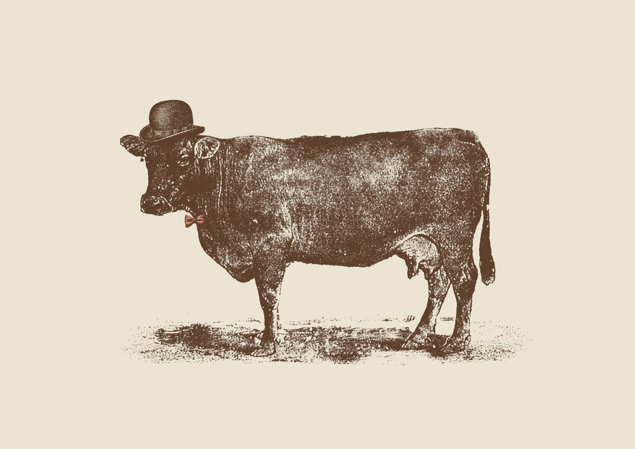 Cow Cow Nut by Florent Bodart